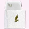 Invitatii-nunta.ro: COD 60286