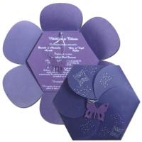 HEX 05