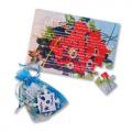 Invitatii-nunta.ro: COD puzzle 6